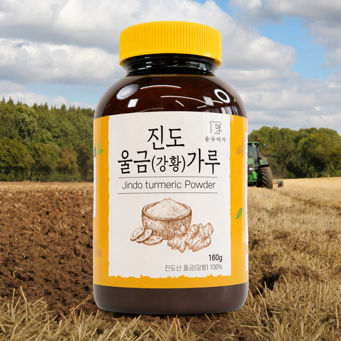 순수미가 국내산 진도 강황가루, 1개, 160g