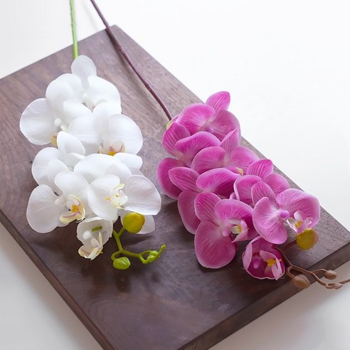 꽃을 꺾지 않아도 아름다움을 누리는 방법