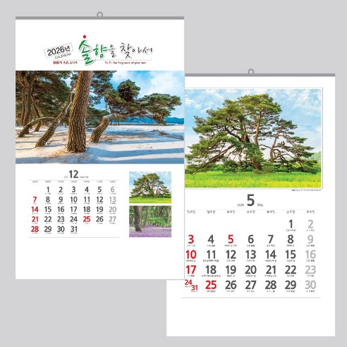 40x60cm 벽걸이 카렌다 2026 솔향을 찾아서 벽 달력, 1개