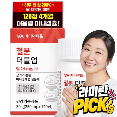 비타민마을 철분 더블업 미니 정제형 철분제, 120정, 1개