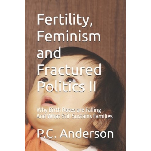 (영문도서)Fertility Feminism and Fractured Politics II: Why Birth Rates are Falling - And... Paperback, Independently Published, English, 9798259324176