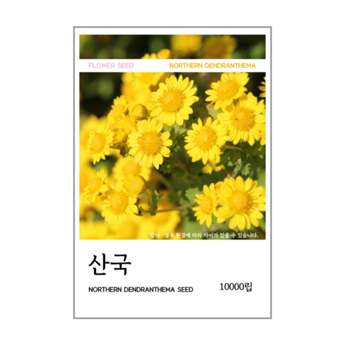 산국 씨앗(코팅 종자) 10000립, 1개
