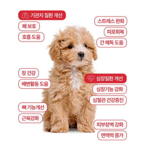 마싯츄 리포좀 강아지 기관지 심장 솔직 후기 | 실제 사용자 리뷰 총정리 - 상품 이미지 3