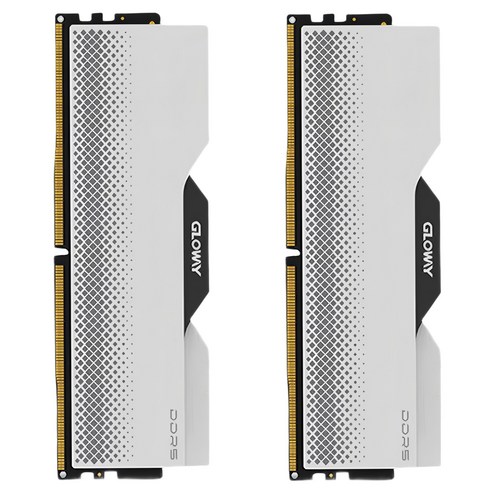 글로웨이 DDR5 용무 시리즈 하이닉스 A다이 히트싱크 메모리 실버 6000MHz C28 16GB 2개입, 1세트, GW6000N16G-SA