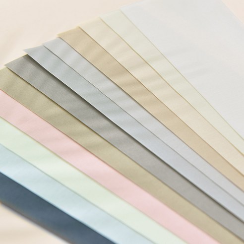 아라크네 TC 무지 롤스크린, 당신의 공간을 특별하게.