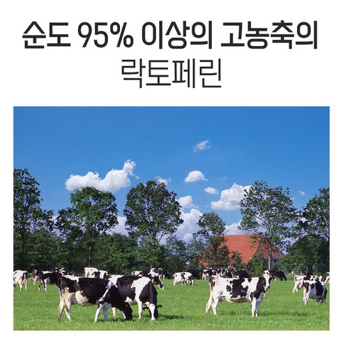 헬씨허그 모유유산균 포스트바이오틱스 60g, 2개 맛있게 먹은 솔직 후기 - 상품 이미지 4