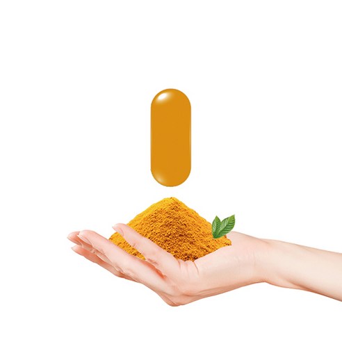 자생앤 커큐민 바이오페린 120정, 1개 이미지 3