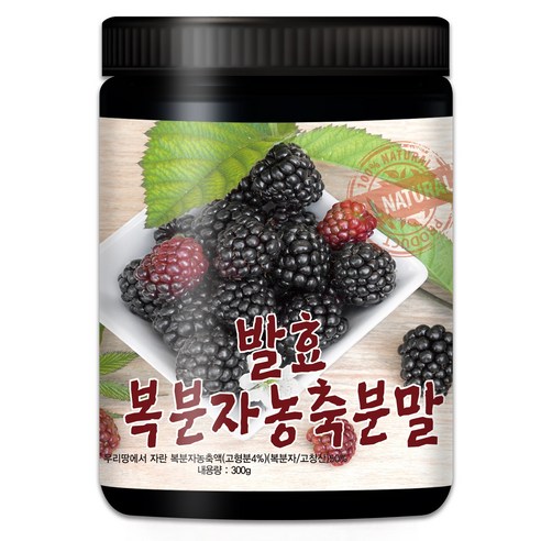 산들약초 발효복분자농축분말 국산 고창산 복분자, 1개, 300g
