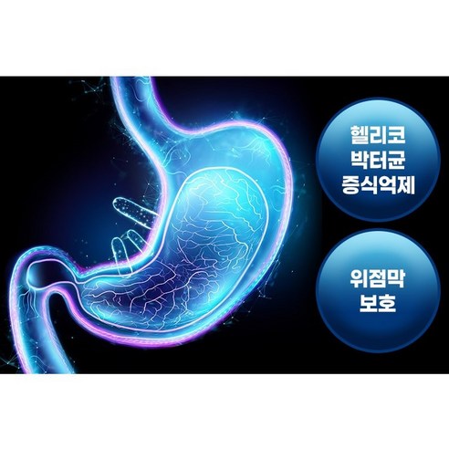 신풍제약 헬리코박터균 증식억제 위건강 3박스(3개월분) 위점막 보호 영양제 비타민 30정, 3개 이미지 2