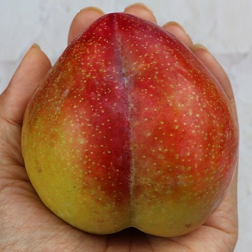 가을의 맛을 집으로 들이는 가장 쉬운 방법