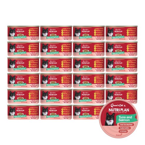 동원 퀸즈캣 뉴트리플랜 고양이 습식캔, 24개, 160g, 참치와 연어