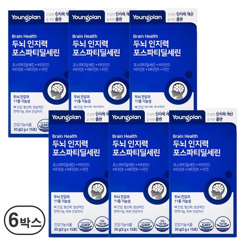 영진약품 두뇌 인지력 포스파티딜세린 분말 식약청인증, 30g, 6박스