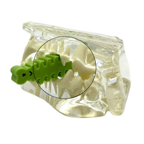 저알러지 치석제거 과일껌 레이지독 덴탈프루츠 [30개] 이미지 4