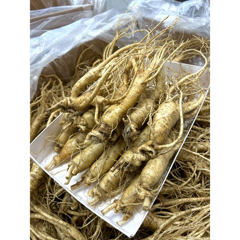 청년농부 풍기인삼 미르인삼사 난발삼 750g 이미지 4