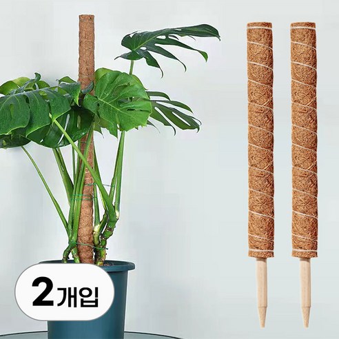식물 수태봉 세트 50cm 화분 원예용 넝쿨 지지 수태 지주대 울타리 원예 화초 가드닝 용품 가든 화단 만들기, 2개