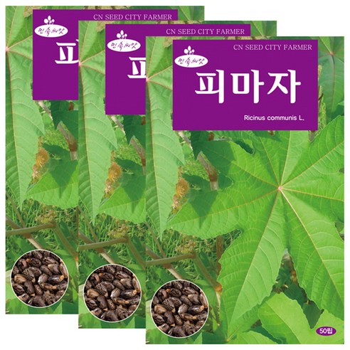 세인화분 피마자 50립, 3개