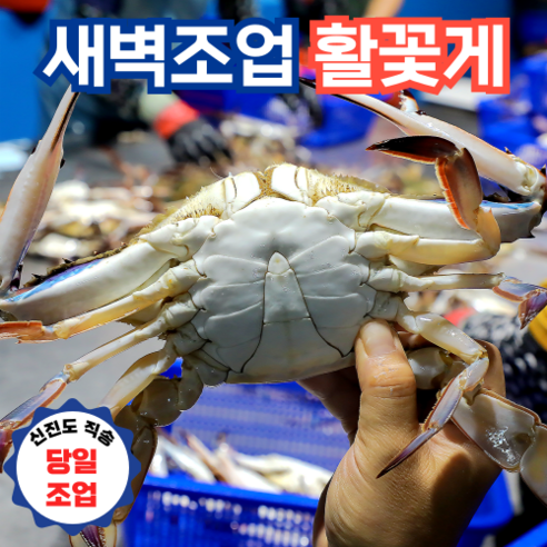 태안 신진도 당일 조업 활꽃게로 즐기는 풍성한 미식!