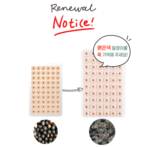 하루테라피 혈자리 귀 지압 패치 경락 붙이는 지압 이침 귀침 600매 이미지 2