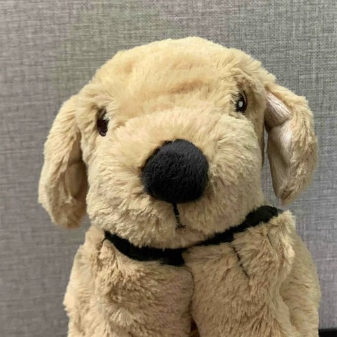 강아지 애착 인형 보들보들 아기 리트리버 봉제 장난감 선물 말랑 모찌 토... 솔직 후기 | 실사용자 리뷰 분석 - 상품 이미지 4