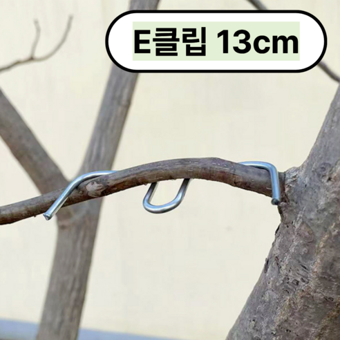 [오늘배송] 2026 리뉴얼 골드픽 가지유인클립 E클립 M형 대형 13cm, 25개