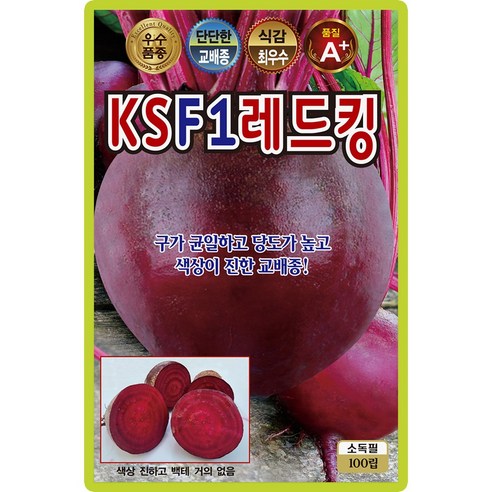 산들마켓 F1레드킹 비트 씨앗 100립 당도가 높고 색상이 진한 교배종 조생종 우수 품종, 1개