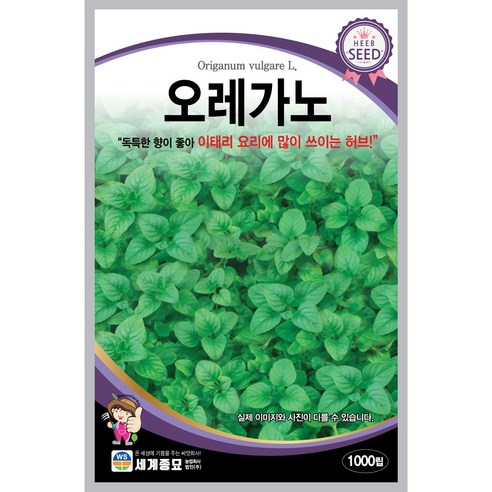 세계종묘 오레가노 1000립 허브씨앗