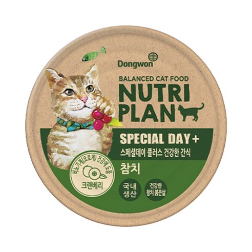 뉴트리플랜 습식캔 스페셜데이 플러스 건강한 간식 참치 90g, 참치맛, 1개