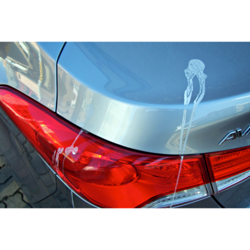 자동차 시멘트물 석회물 백화 제거 제거제 클리너 차량 외부 손상없는 이미지 4