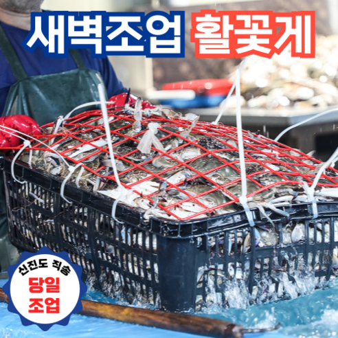 태안 신진도 당일 조업 활꽃게로 즐기는 풍성한 미식!