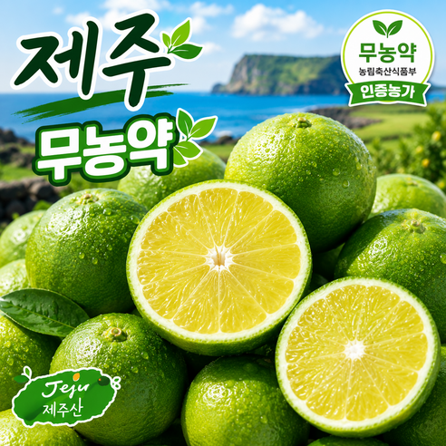 무농약재배 제주 청귤 풋귤, 3kg 로얄과, 1박스 - 귤