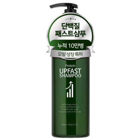 잇퓨 프로틴 업패스트 샴푸 단백질 머릿결 케어, 480ml, 1개