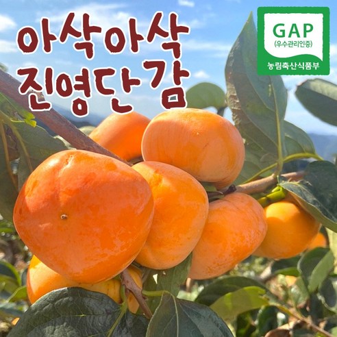 [진영단감] 아삭단감 2.5KG 5.0kg 내외 태추 부유단감 - 감 | 쿠팡