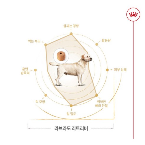 로얄캐닌 독 라브라도 리트리버 어덜트 전용 사료 12kg 강아지 대용량 ... 솔직 후기 | 실제 사용자 리뷰 총정리 - 상품 이미지 3