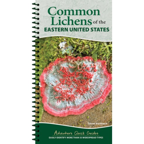 (영문도서)Common Lichens of the Eastern United States: Easily Identify 58 Widespread Types Spiral, Adventure Publications, English, 9781647556006