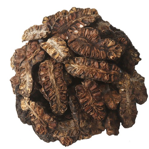 동의한재 최상품 건노니 노니열매 1kg, 1개 이미지 3