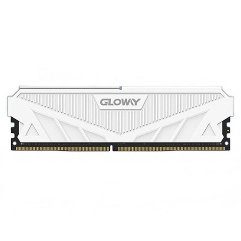 글로웨이 DDR4 데스크탑 램 티앤스 히트싱크 화이트 C22 32GB GW3200N32G-22W, 1개