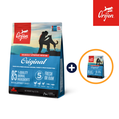 오리젠 강아지 오리지날 건식사료 솔직 후기 | 실제 사용자 리뷰 총정리 썸네일