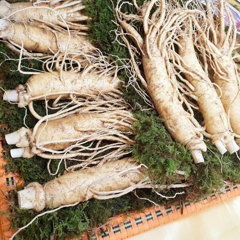 대한인삼사 인삼선물세트 풍기인삼 750g 이미지 3