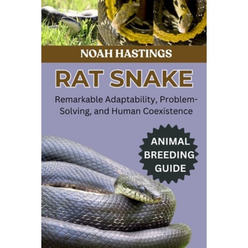 (영문도서)Rat Snake: Remarkable Adaptability Problem-Solving and Human Coexistence Paperback, Independently Published, English, 9798196724411