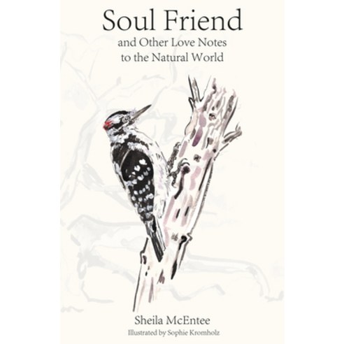 (영문도서)Soul Friend: And Other Love Notes to the Natural World Hardcover, Blackwater Press, English, 9781963614091
