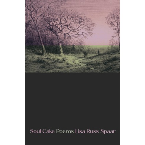 (영문도서)Soul Cake: Poems Paperback, Persea Books, English, 9780892556427
