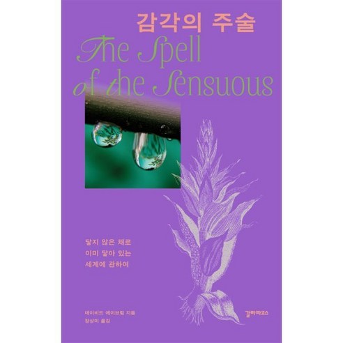 감각의 주술:닿지 않은 채로 이미 닿아 있는 세계에 관하여, 갈라파고스, 데이비드 에이브럼, 1