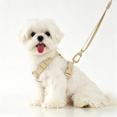 Norah 일상산책용 기본 강아지하네스 리드줄 세트, 1개, 카키