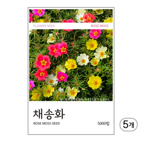 채송화 씨앗 5000립, 5개