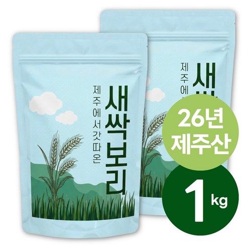갓 따온 26년산 제주 새싹보리 분말 500g, 2개 맛있게 먹은 솔직 후기 썸네일
