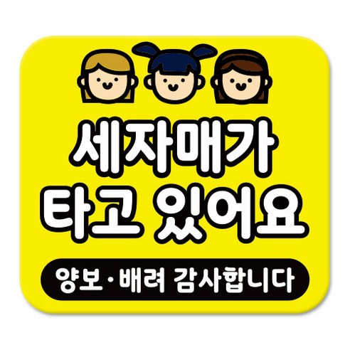 라쿤마켓 차량용 스티커 총27종 초보운전 아이가 타고 있어요 임산부가 타고있어요 강아지가 타고있어요 어르신운전중 혈액형 장애인 도로주행 연수용, 1개, 13_세자매가타고있어요