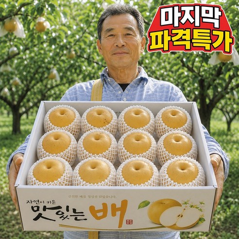 가정용 고당도 26년햇 나주배, 5kg, 1박스 - 배
