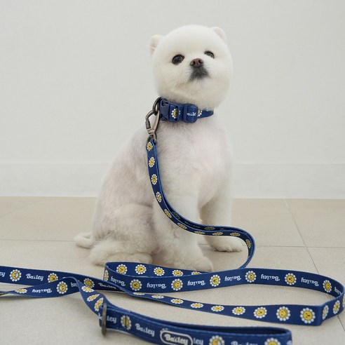 베일리펫 강아지 산책 소형견 중형견 데이지 워키 리드줄, 1개, 네이비