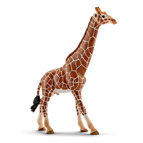 슐라이히 수컷 기린 SL14749 Giraffe male 피규어