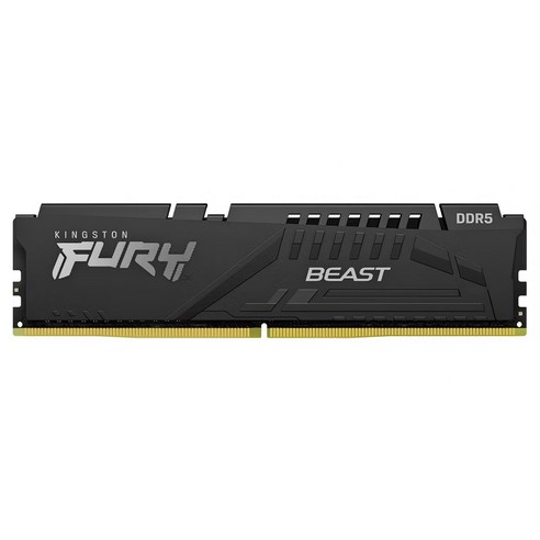 킹스톤 퓨리 비스트 DDR5 데스크톱 메모리 32GB 6000MHz 블랙, 1개, KF560C40BB/32